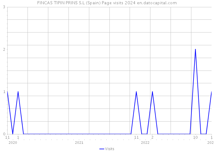 FINCAS TIPIN PRINS S.L (Spain) Page visits 2024 