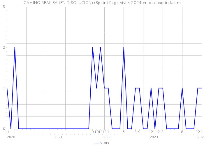 CAMINO REAL SA (EN DISOLUCION) (Spain) Page visits 2024 