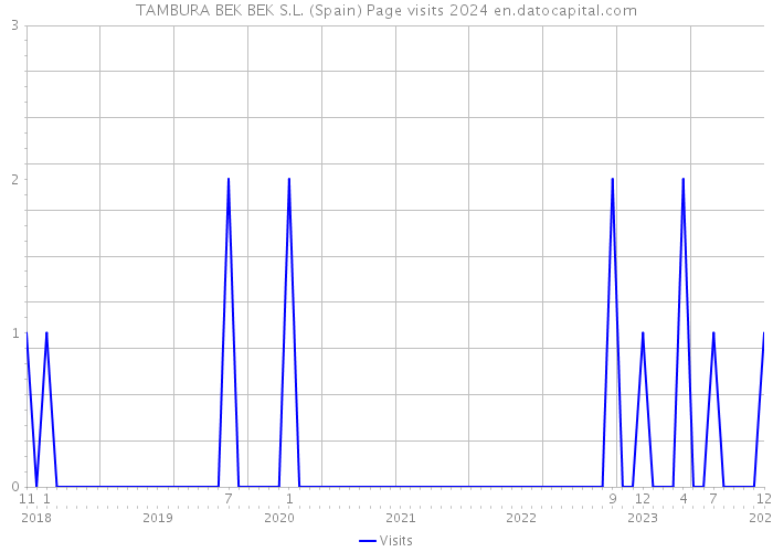 TAMBURA BEK BEK S.L. (Spain) Page visits 2024 