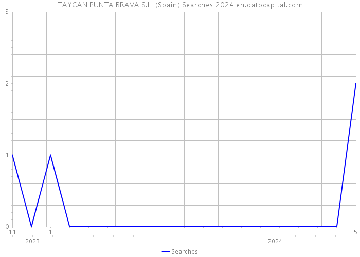 TAYCAN PUNTA BRAVA S.L. (Spain) Searches 2024 