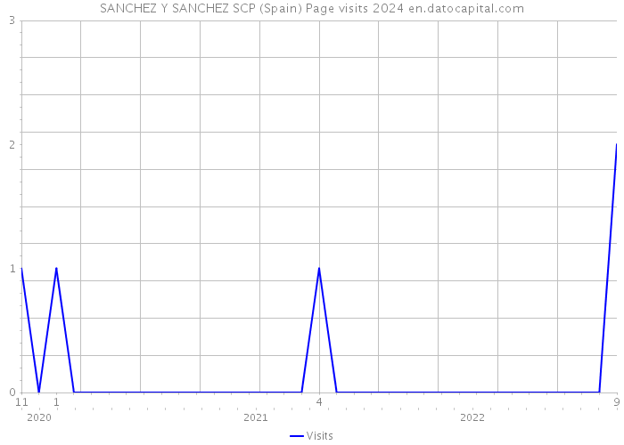 SANCHEZ Y SANCHEZ SCP (Spain) Page visits 2024 