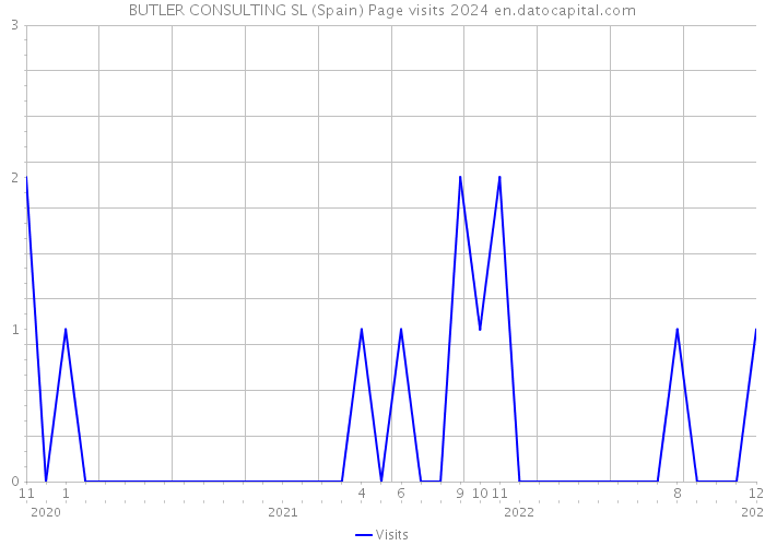BUTLER CONSULTING SL (Spain) Page visits 2024 