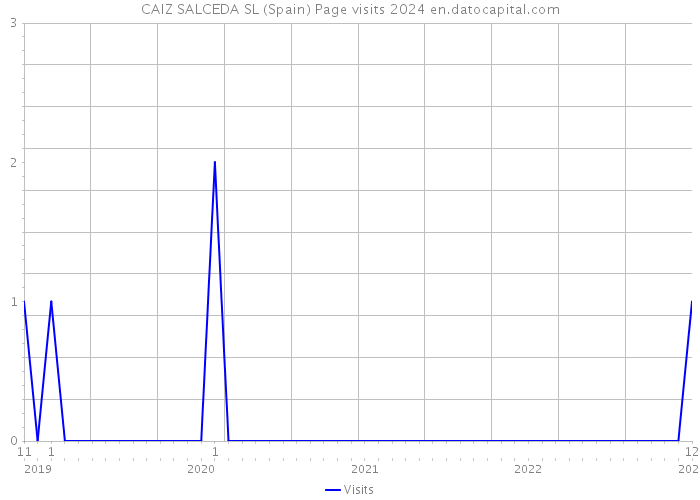 CAIZ SALCEDA SL (Spain) Page visits 2024 