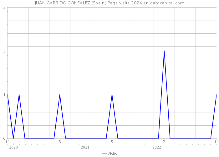 JUAN GARRIDO GONZALEZ (Spain) Page visits 2024 