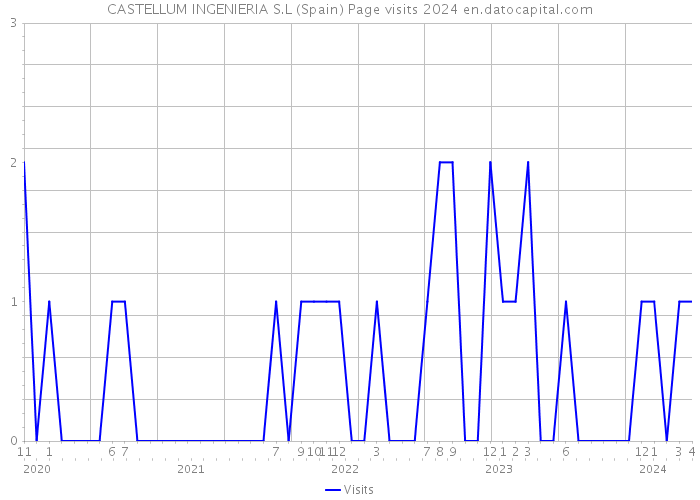 CASTELLUM INGENIERIA S.L (Spain) Page visits 2024 