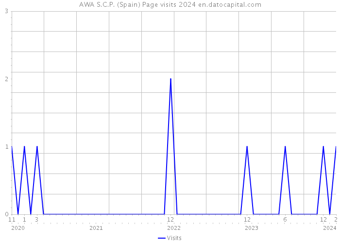 AWA S.C.P. (Spain) Page visits 2024 