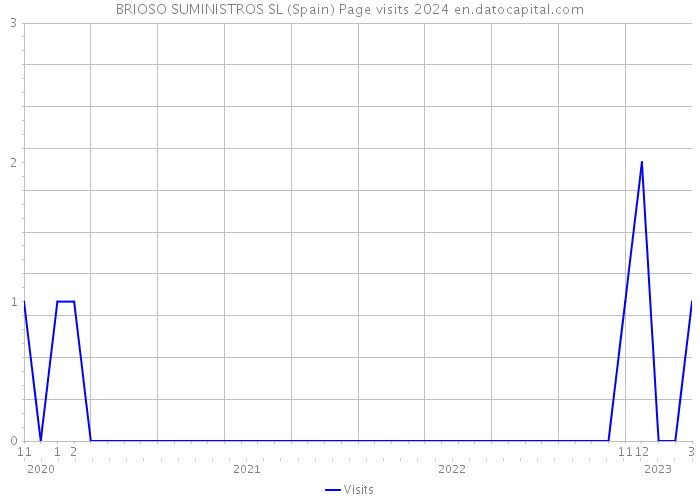 BRIOSO SUMINISTROS SL (Spain) Page visits 2024 