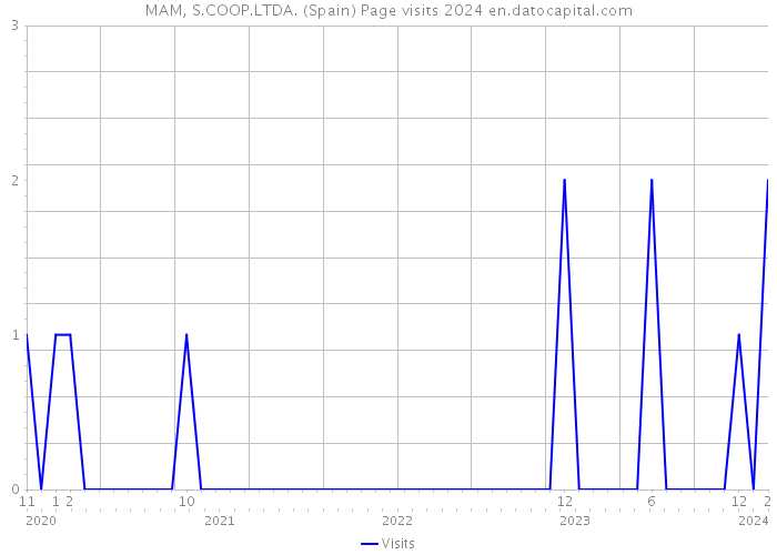MAM, S.COOP.LTDA. (Spain) Page visits 2024 