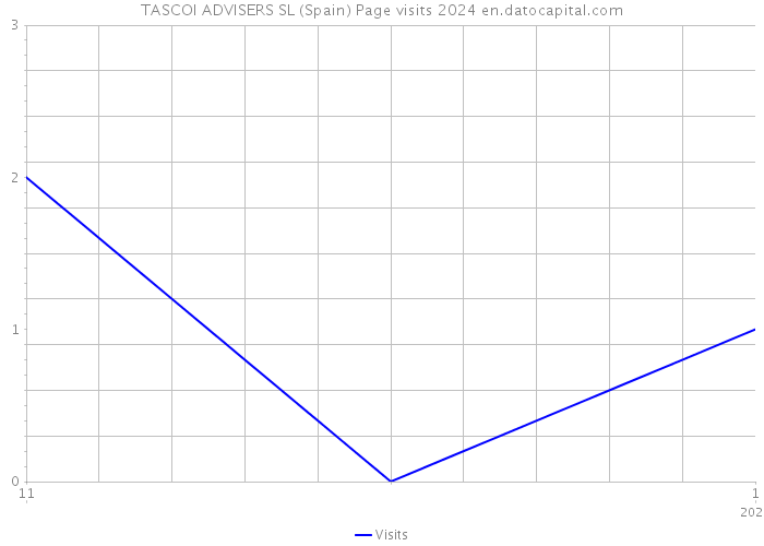 TASCOI ADVISERS SL (Spain) Page visits 2024 