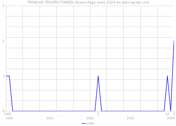 TRINIDAD TRIVIÑO TORRES (Spain) Page visits 2024 