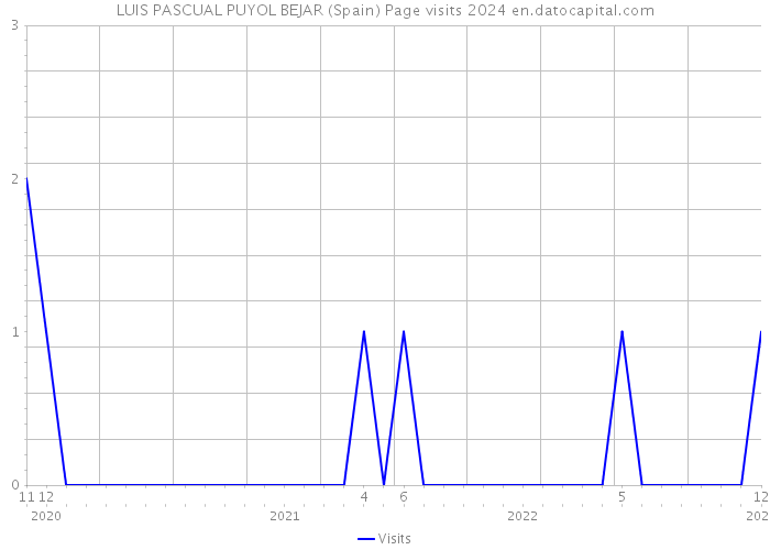 LUIS PASCUAL PUYOL BEJAR (Spain) Page visits 2024 