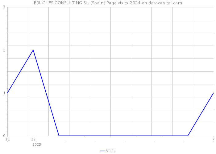 BRUGUES CONSULTING SL. (Spain) Page visits 2024 