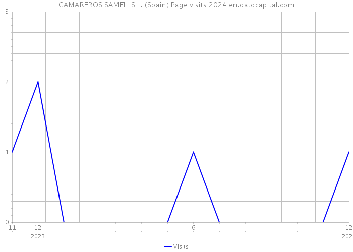 CAMAREROS SAMELI S.L. (Spain) Page visits 2024 