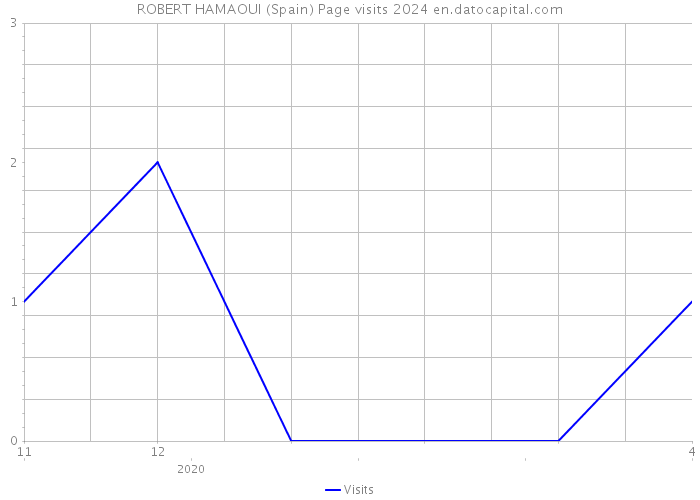ROBERT HAMAOUI (Spain) Page visits 2024 