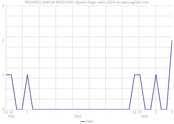 RICARDO GARCIA MOSCOSO (Spain) Page visits 2024 