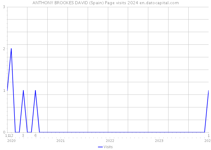 ANTHONY BROOKES DAVID (Spain) Page visits 2024 