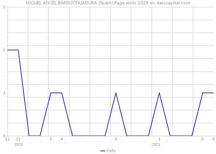 MIGUEL ANGEL BARRIO TAJADURA (Spain) Page visits 2024 