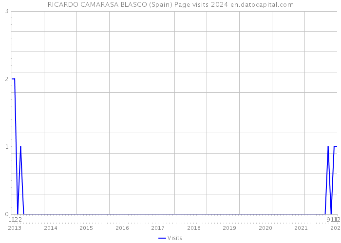 RICARDO CAMARASA BLASCO (Spain) Page visits 2024 