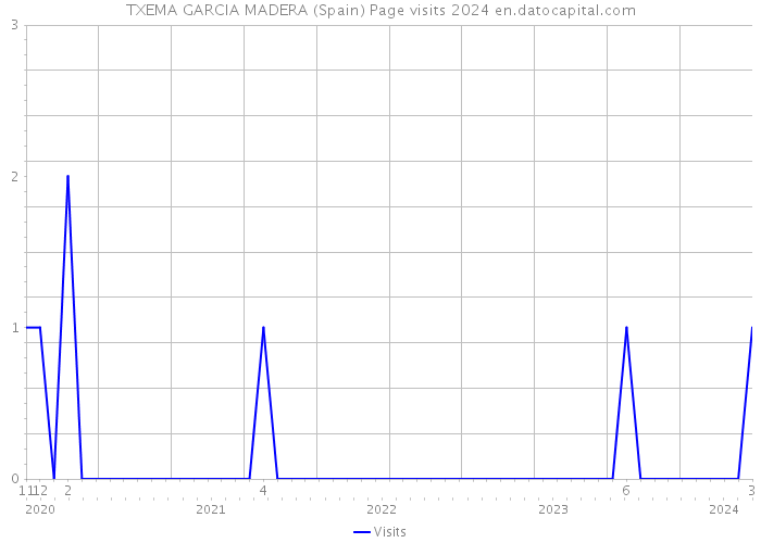 TXEMA GARCIA MADERA (Spain) Page visits 2024 