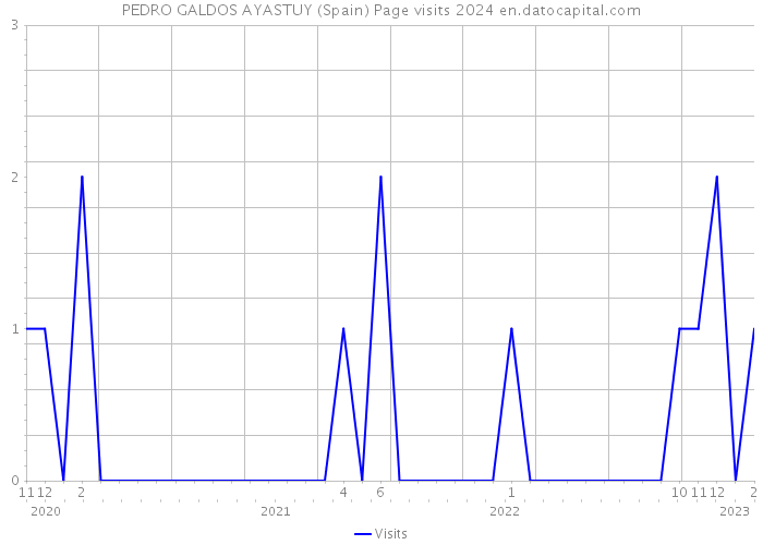 PEDRO GALDOS AYASTUY (Spain) Page visits 2024 