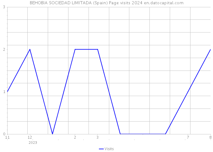 BEHOBIA SOCIEDAD LIMITADA (Spain) Page visits 2024 