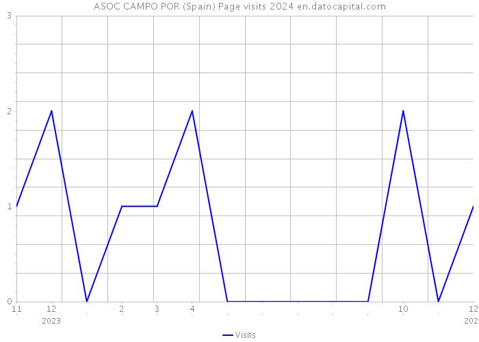 ASOC CAMPO POR (Spain) Page visits 2024 