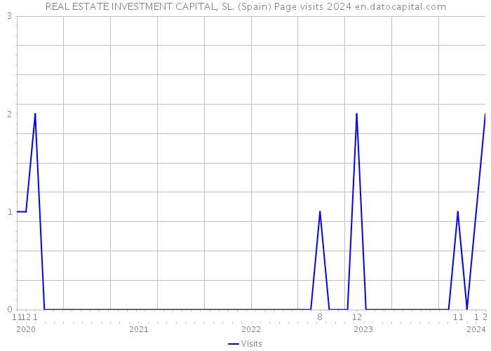REAL ESTATE INVESTMENT CAPITAL, SL. (Spain) Page visits 2024 