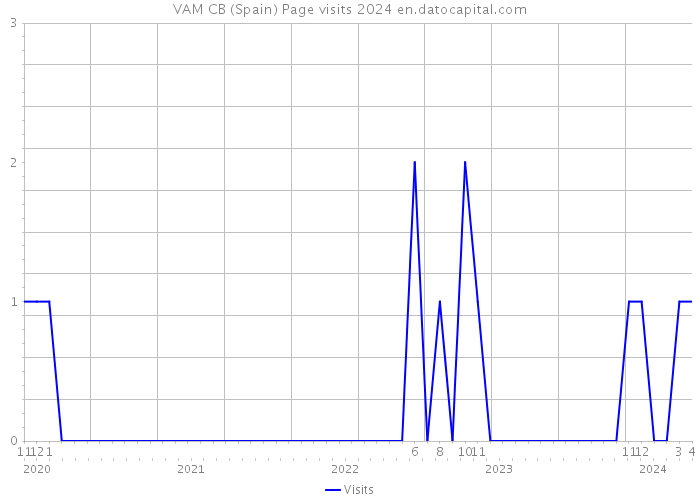 VAM CB (Spain) Page visits 2024 