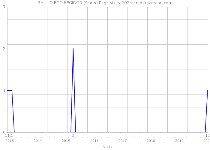 RAUL DIEGO REGIDOR (Spain) Page visits 2024 