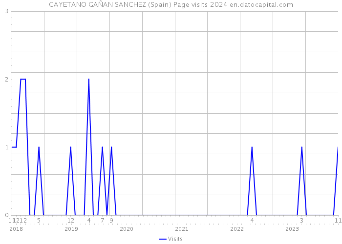 CAYETANO GAÑAN SANCHEZ (Spain) Page visits 2024 
