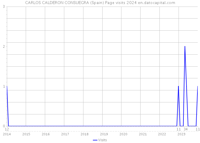 CARLOS CALDERON CONSUEGRA (Spain) Page visits 2024 