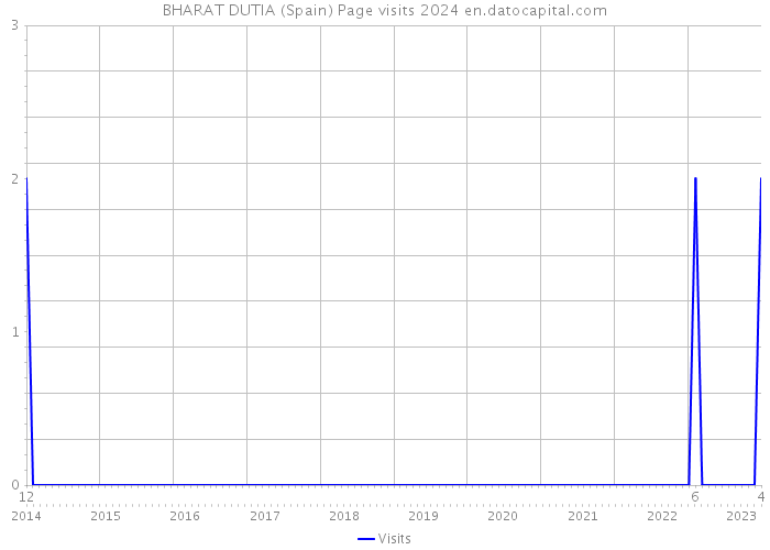 BHARAT DUTIA (Spain) Page visits 2024 