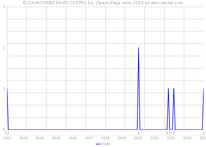 EXCAVACIONES DAVID CASTRO S.L. (Spain) Page visits 2024 