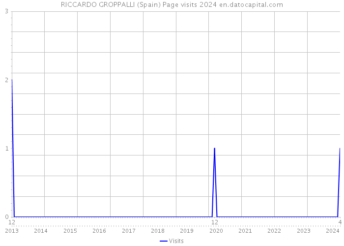 RICCARDO GROPPALLI (Spain) Page visits 2024 