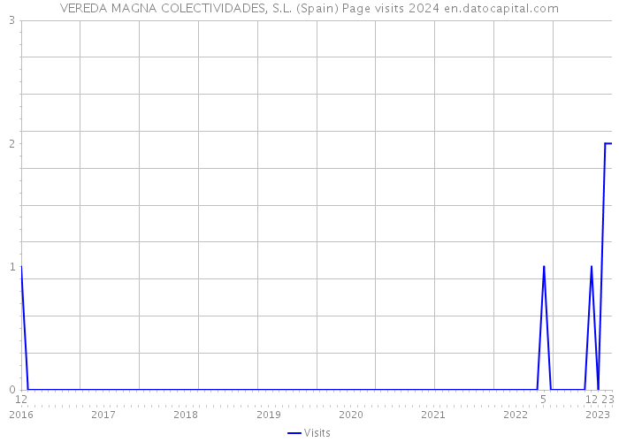 VEREDA MAGNA COLECTIVIDADES, S.L. (Spain) Page visits 2024 