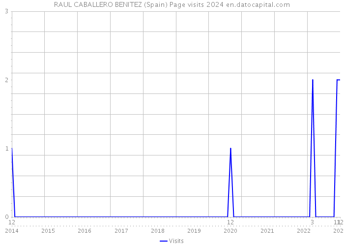 RAUL CABALLERO BENITEZ (Spain) Page visits 2024 