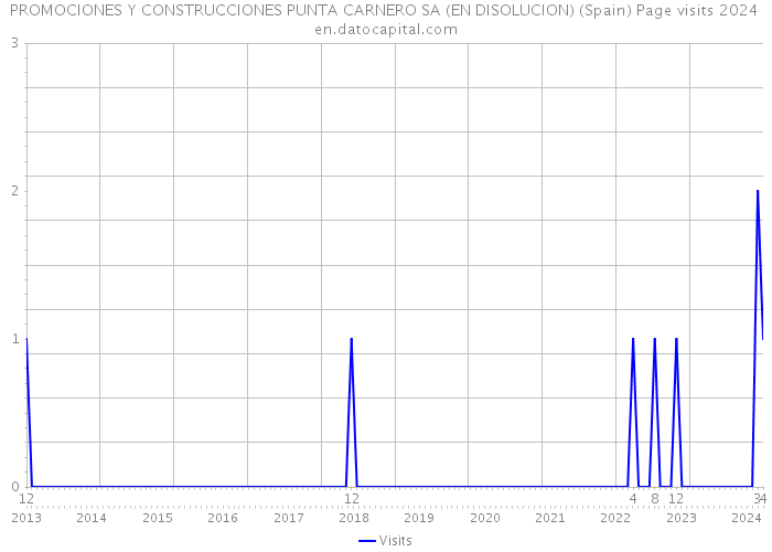 PROMOCIONES Y CONSTRUCCIONES PUNTA CARNERO SA (EN DISOLUCION) (Spain) Page visits 2024 