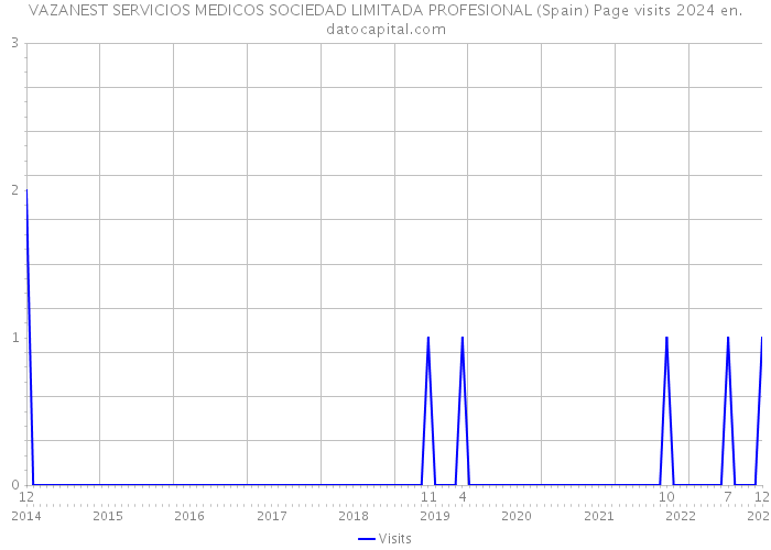 VAZANEST SERVICIOS MEDICOS SOCIEDAD LIMITADA PROFESIONAL (Spain) Page visits 2024 