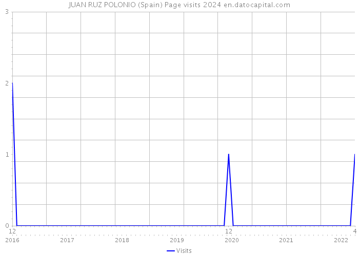 JUAN RUZ POLONIO (Spain) Page visits 2024 