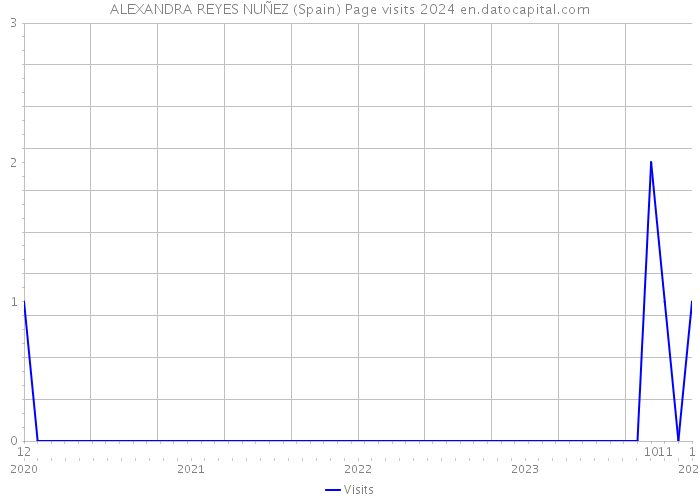 ALEXANDRA REYES NUÑEZ (Spain) Page visits 2024 