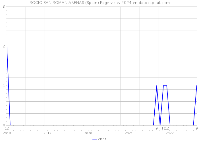 ROCIO SAN ROMAN ARENAS (Spain) Page visits 2024 