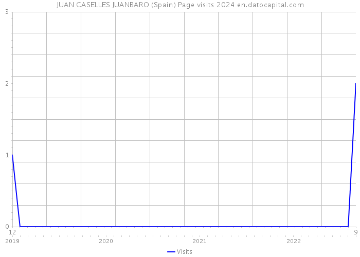 JUAN CASELLES JUANBARO (Spain) Page visits 2024 