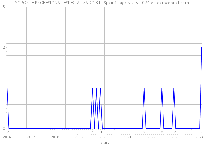 SOPORTE PROFESIONAL ESPECIALIZADO S.L (Spain) Page visits 2024 