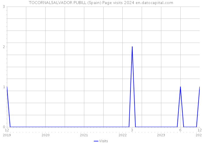 TOCORNALSALVADOR PUBILL (Spain) Page visits 2024 