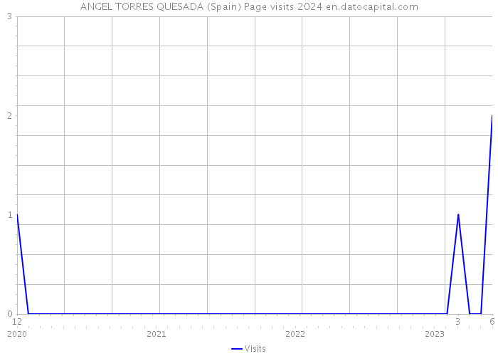 ANGEL TORRES QUESADA (Spain) Page visits 2024 