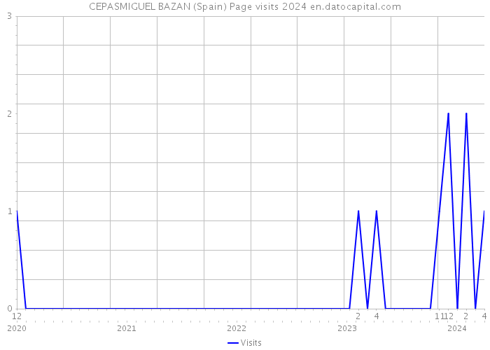 CEPASMIGUEL BAZAN (Spain) Page visits 2024 