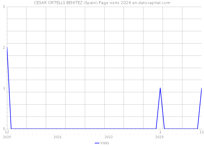 CESAR ORTELLS BENITEZ (Spain) Page visits 2024 