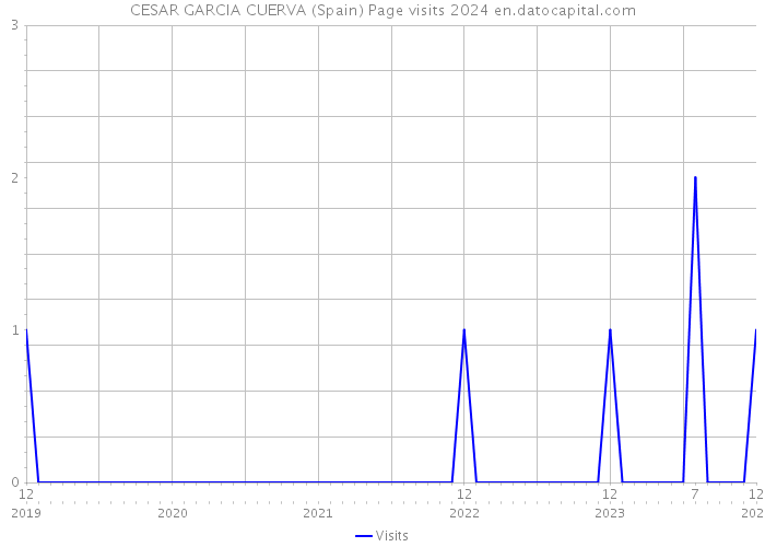 CESAR GARCIA CUERVA (Spain) Page visits 2024 