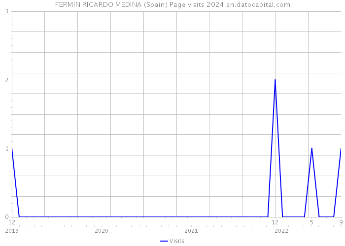 FERMIN RICARDO MEDINA (Spain) Page visits 2024 