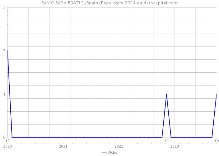 SAVIC SASA BRATIC (Spain) Page visits 2024 